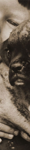 magunkrol-image1